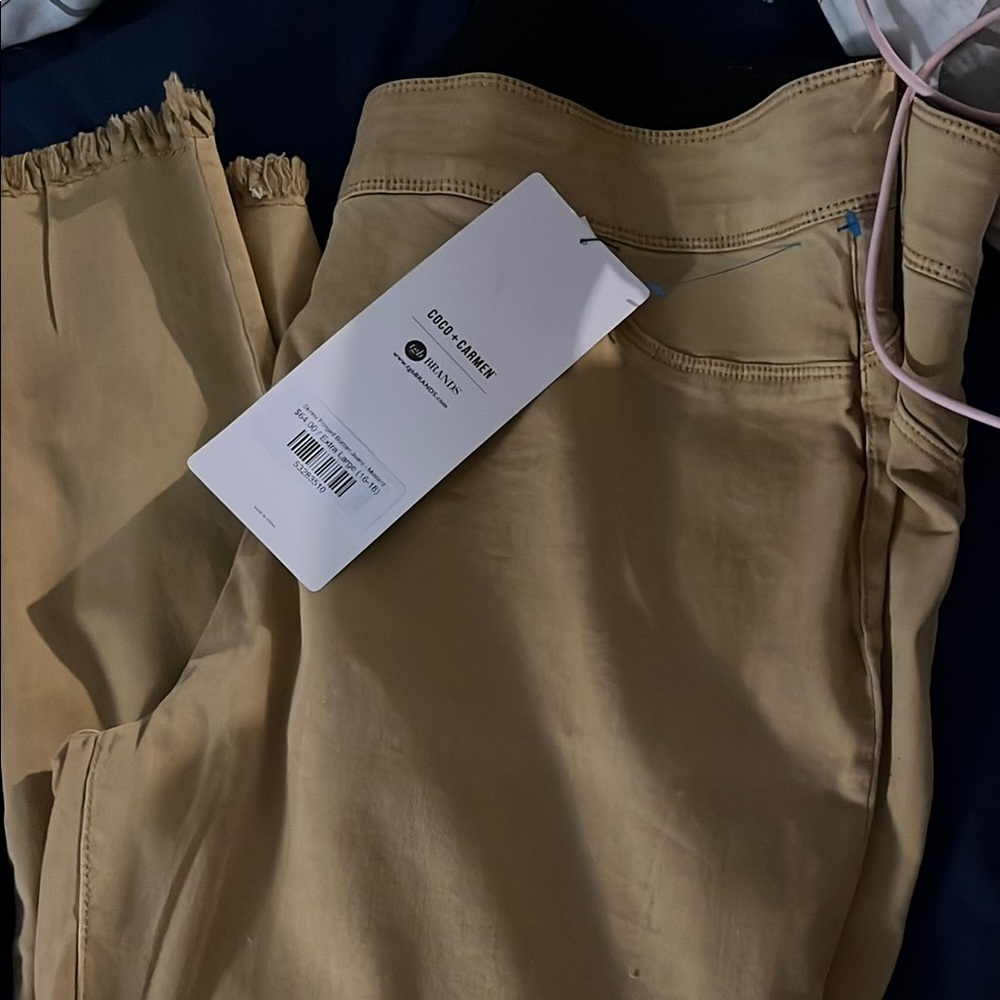 Chic Tan Pants